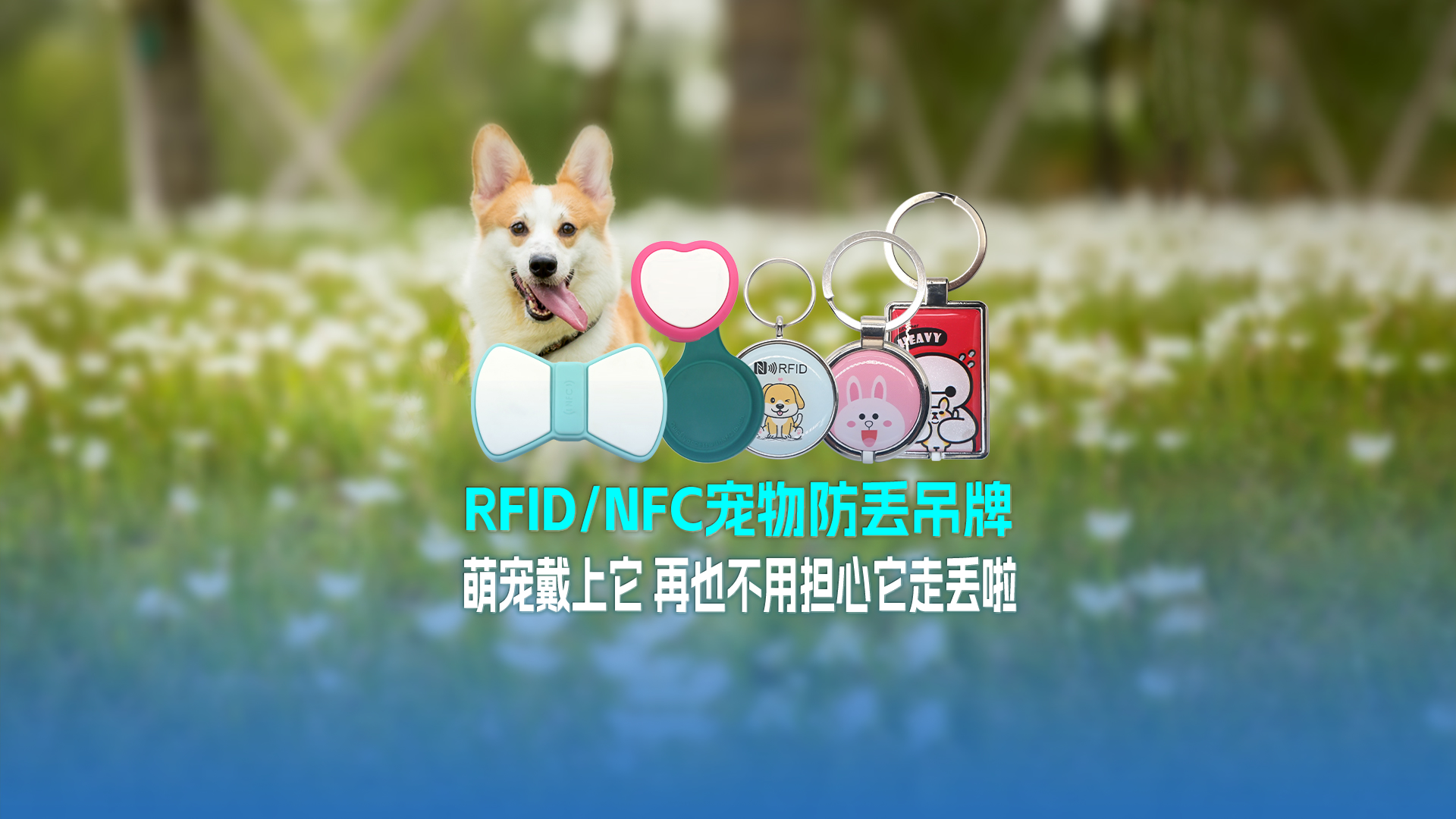 卡立方集團RFID寵物防丟吊牌：萌寵戴上它 再也不用擔心它走丟啦
