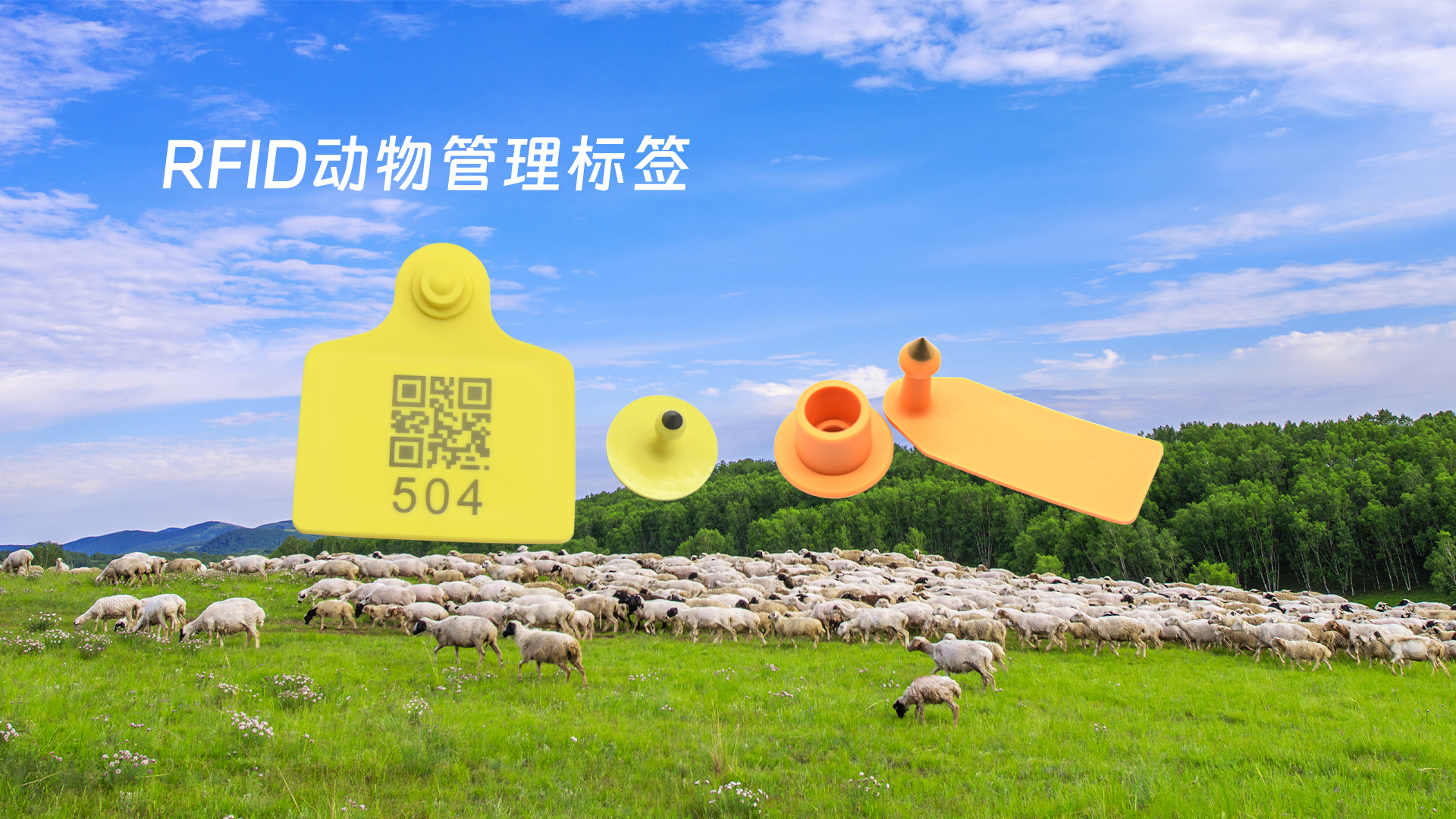 微信圖片_20250319133626 微信圖片_20250319133626